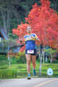 BIB: 8250
                            <button type="button" onclick="openModal(19240142)" class="btn btn-primary btn-sm float-right btn-popup" data-toggle="modal" data-target=".modal-high-quality">
                        <i class="fas fa-shopping-cart"></i> Add to Cart
                    </button>
                                            <button type="button" onclick="isThisMe(19240142, true)" class="btn btn-success btn-sm float-right btn-popup btn-isme hidden" data-toggle="tooltip" data-placement="bottom" title="นี่คือรูปของคุณใช่ไหม คลิกที่นี่เพื่อเอาเข้าอัลบั้ม">
                        <i class="fas fa-plus"></i> Add to album
                    </button>
                    <button type="button" onclick="isThisMe(19240142, false)" class="btn btn-warning btn-sm float-right btn-popup btn-isnotme hidden">
                        <i class="fas fa-ban"></i> Remove from album
                    </button>